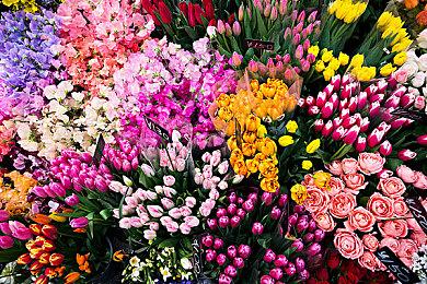 SE主动移除《歧路旅人2》D加密 还是想提高销量？